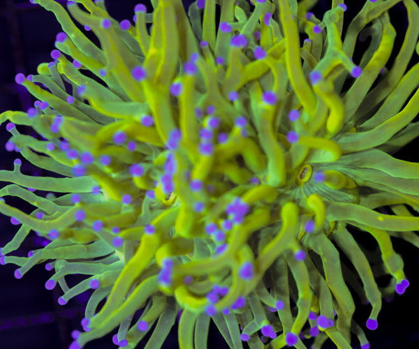 import placeholder for 3047293