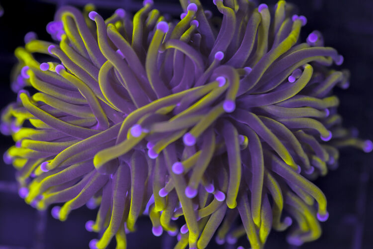 import placeholder for 3047286