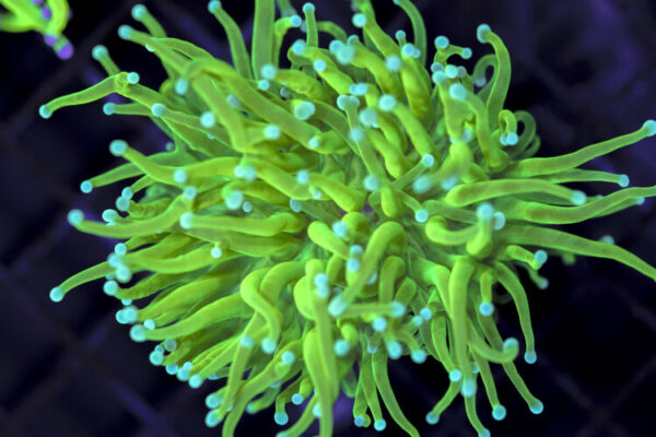 import placeholder for 3047278