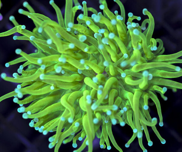 import placeholder for 3047278