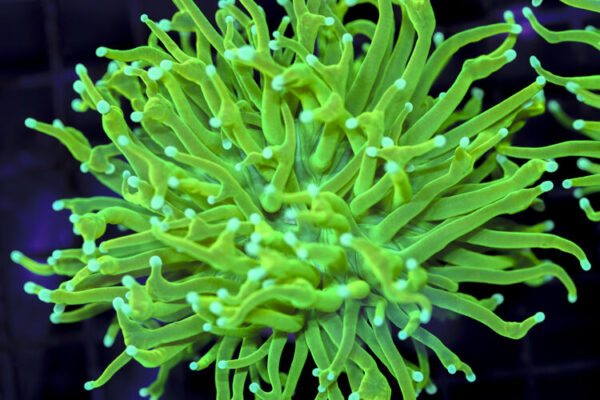 import placeholder for 3047277