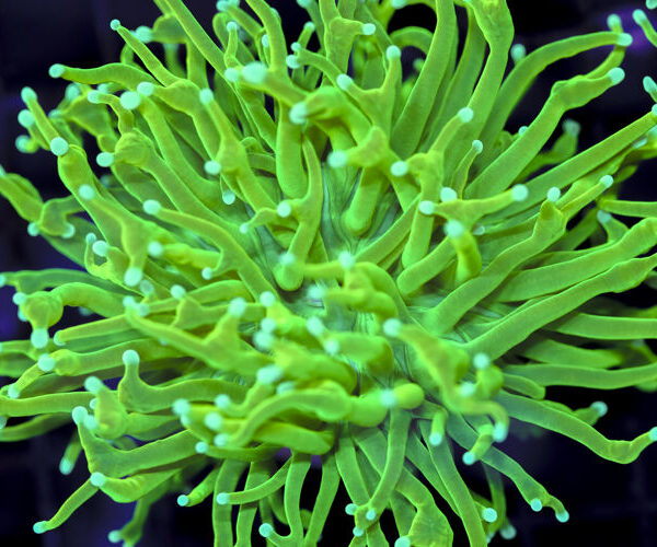 import placeholder for 3047277