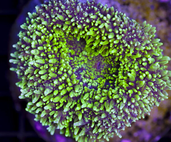 import placeholder for 3046298