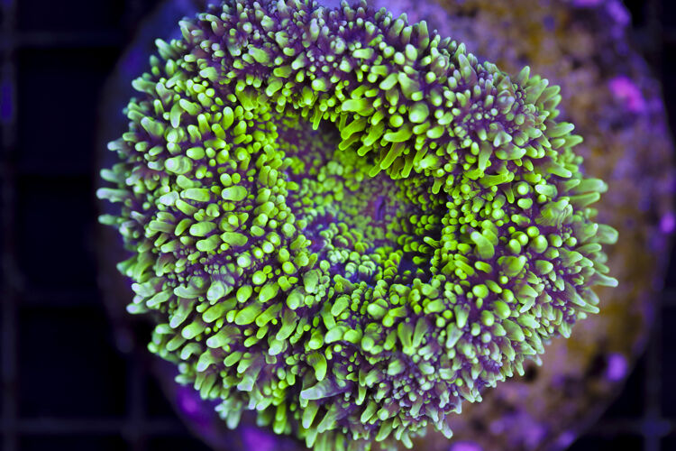 import placeholder for 3046298