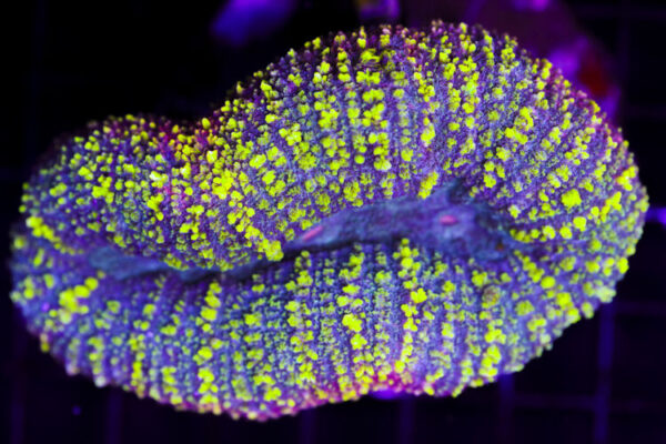 import placeholder for 3046289