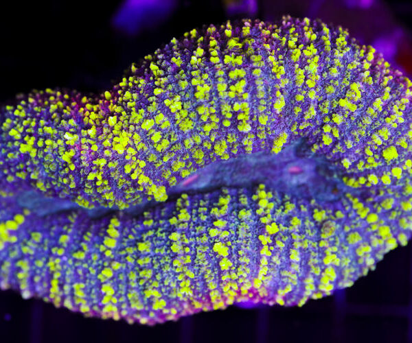 import placeholder for 3046289