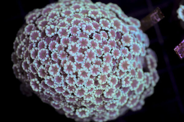 import placeholder for 3046279