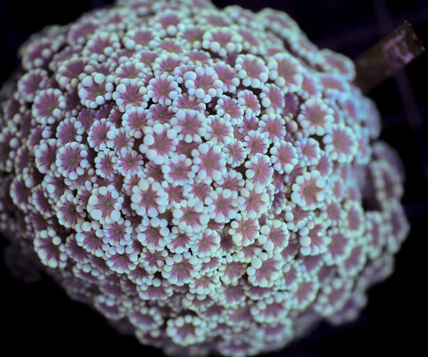 import placeholder for 3046279