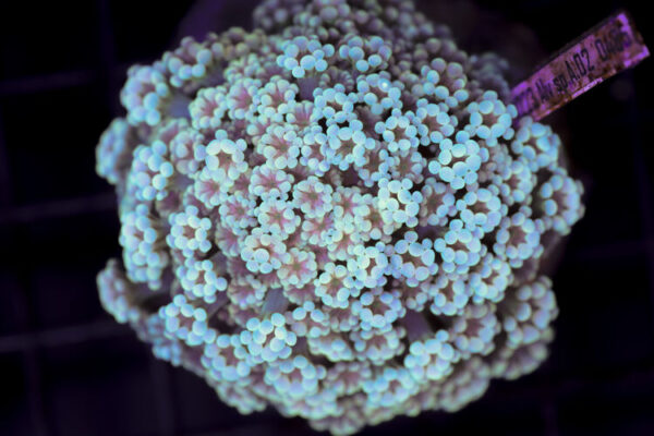 import placeholder for 3046278