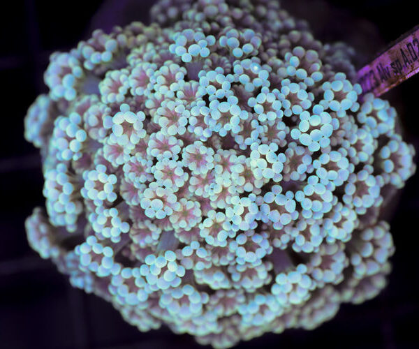 import placeholder for 3046278