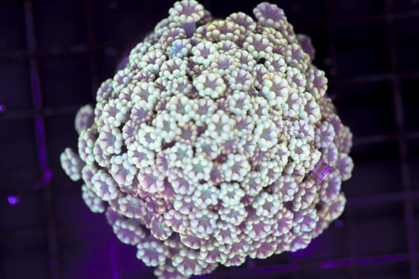 import placeholder for 3046276