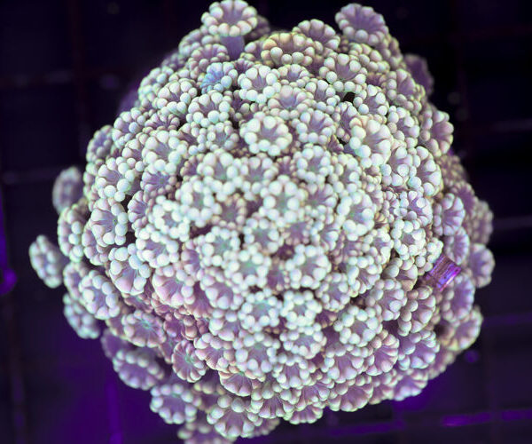 import placeholder for 3046276