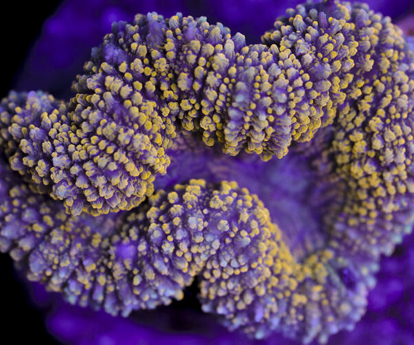 import placeholder for 3046271