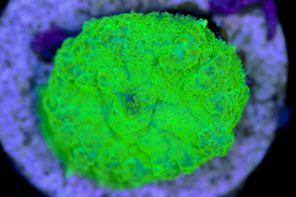 import placeholder for 3046263