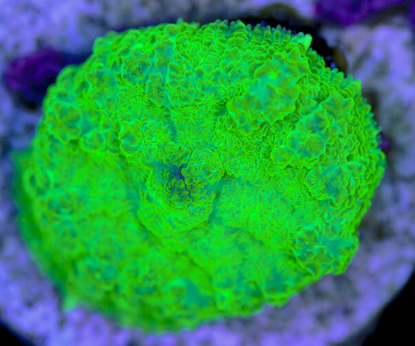 import placeholder for 3046263