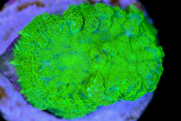 import placeholder for 3046262