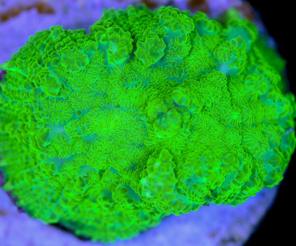 import placeholder for 3046262