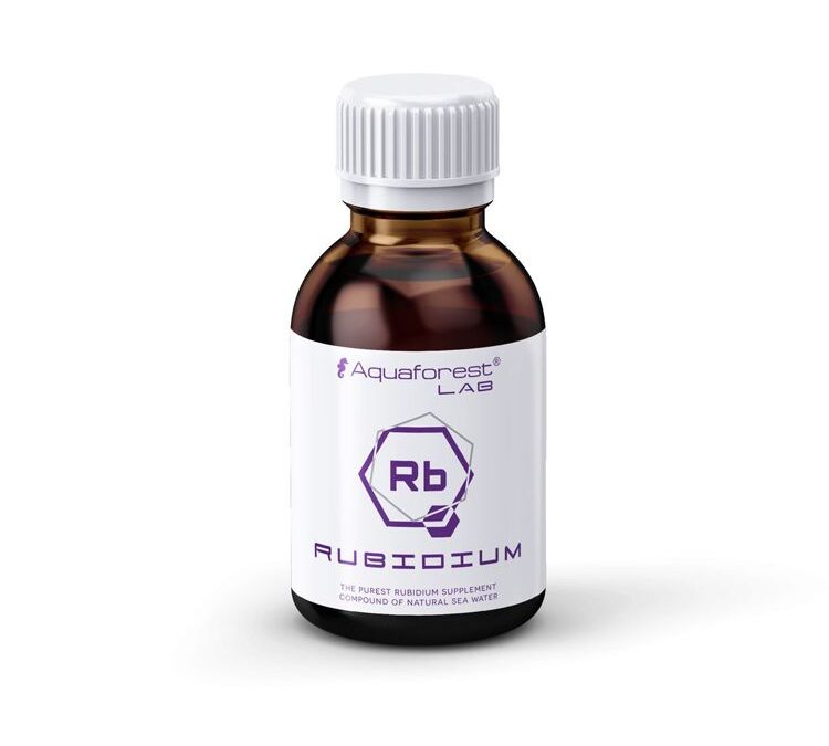 import placeholder for 2409443