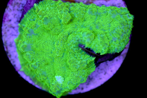 import placeholder for 3046261