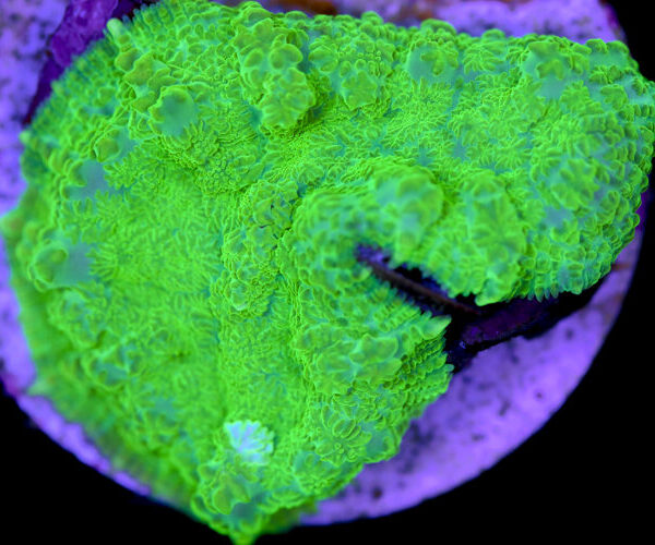 import placeholder for 3046261