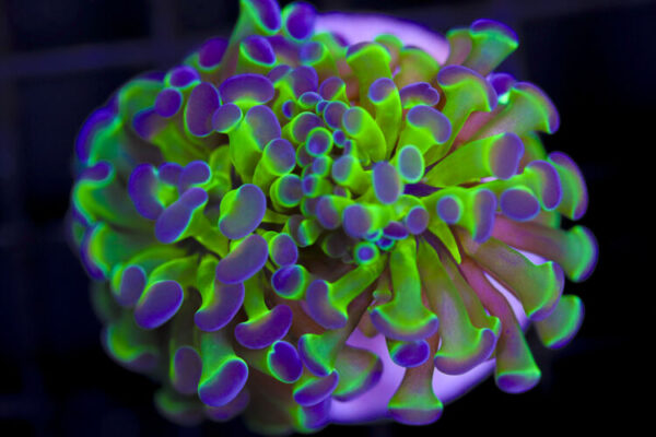 import placeholder for 3046239