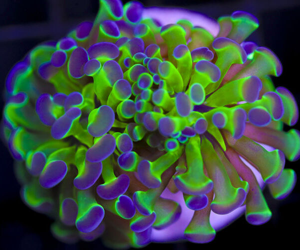 import placeholder for 3046239