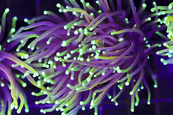 import placeholder for 3046237