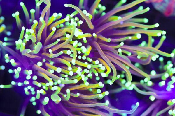 import placeholder for 3046235