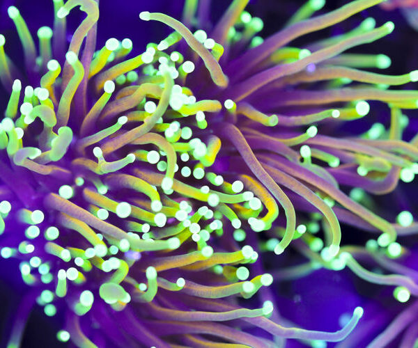 import placeholder for 3046235