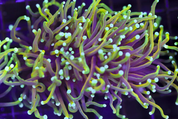 import placeholder for 3046232