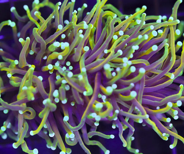 import placeholder for 3046232