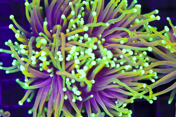 import placeholder for 3046231