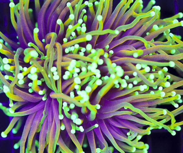 import placeholder for 3046231