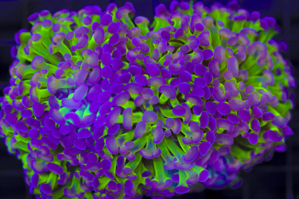 import placeholder for 3046225