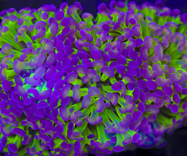 import placeholder for 3046225