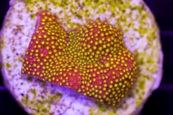 import placeholder for 3046220