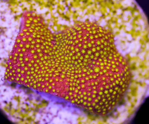 import placeholder for 3046220