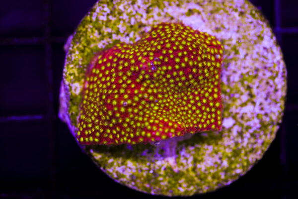 import placeholder for 3046219