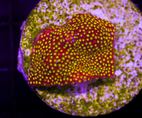 import placeholder for 3046219