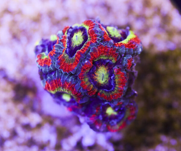 import placeholder for 3046211