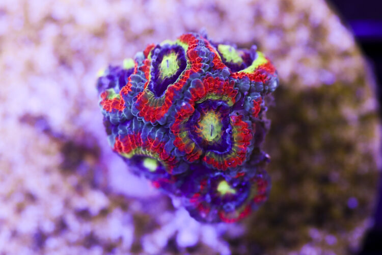 import placeholder for 3046211