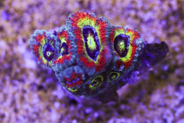 import placeholder for 3046208