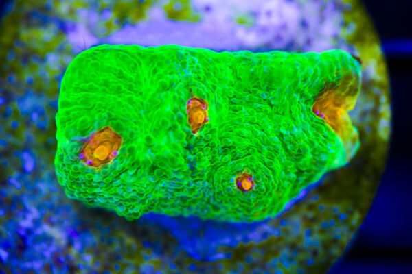 import placeholder for 3046192