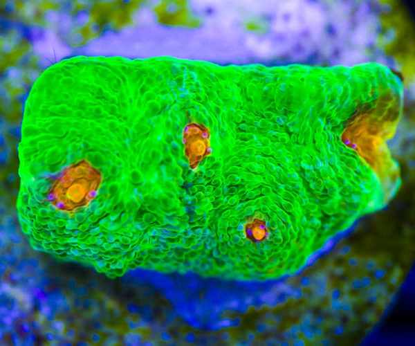 import placeholder for 3046192