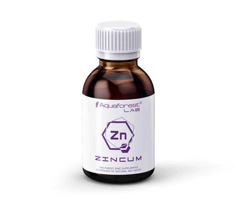 import placeholder for 2409441