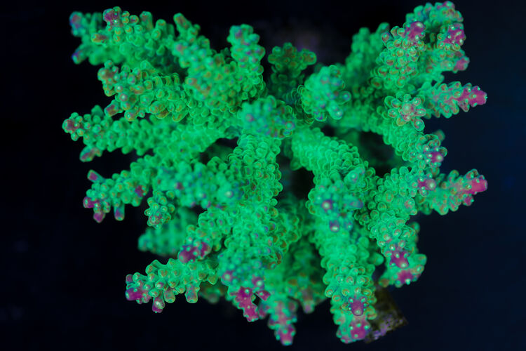 import placeholder for 3044247