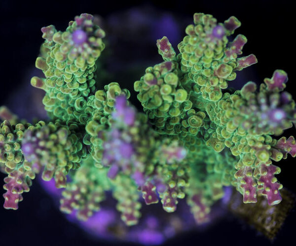 import placeholder for 3044213