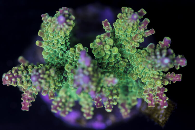 import placeholder for 3044213