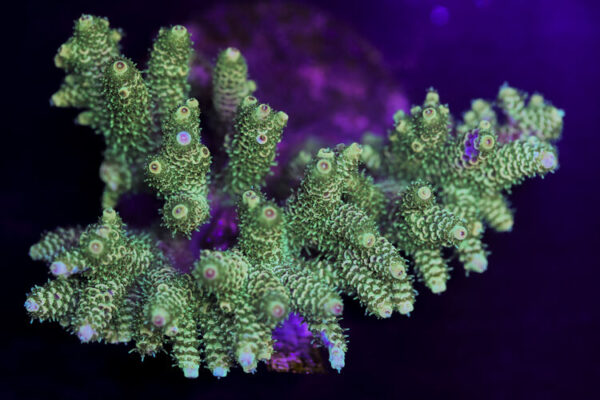 import placeholder for 3044209