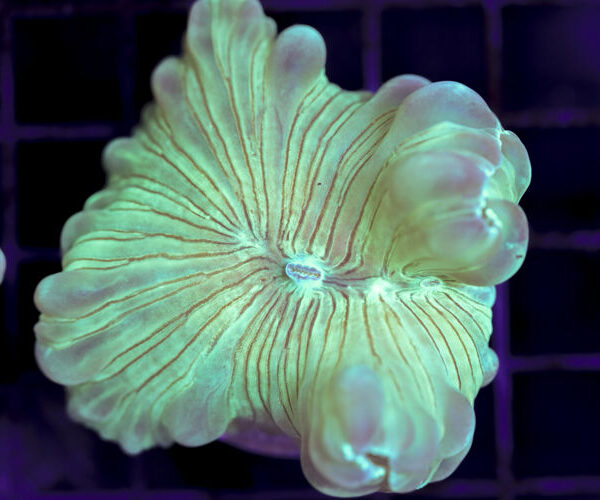 import placeholder for 3034490